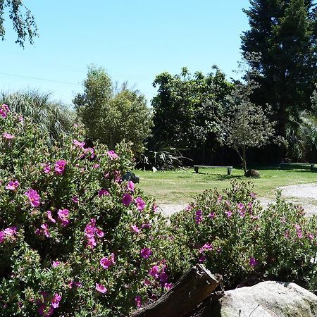 Fernwood Holiday Park Motueka Værelse billede