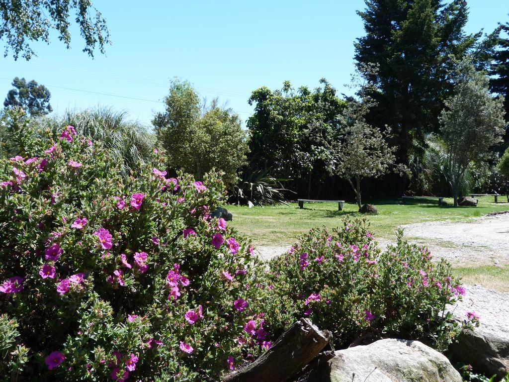 Fernwood Holiday Park Motueka Værelse billede